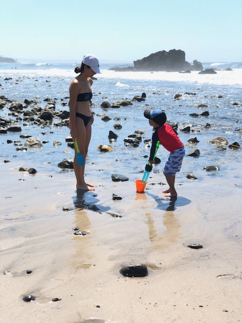 Explore Carpenteria Tidepools in Los Angeles Heatwave