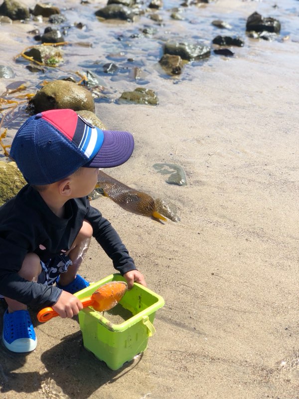 Explore Carpenteria Tidepools in Los Angeles Heatwave 
