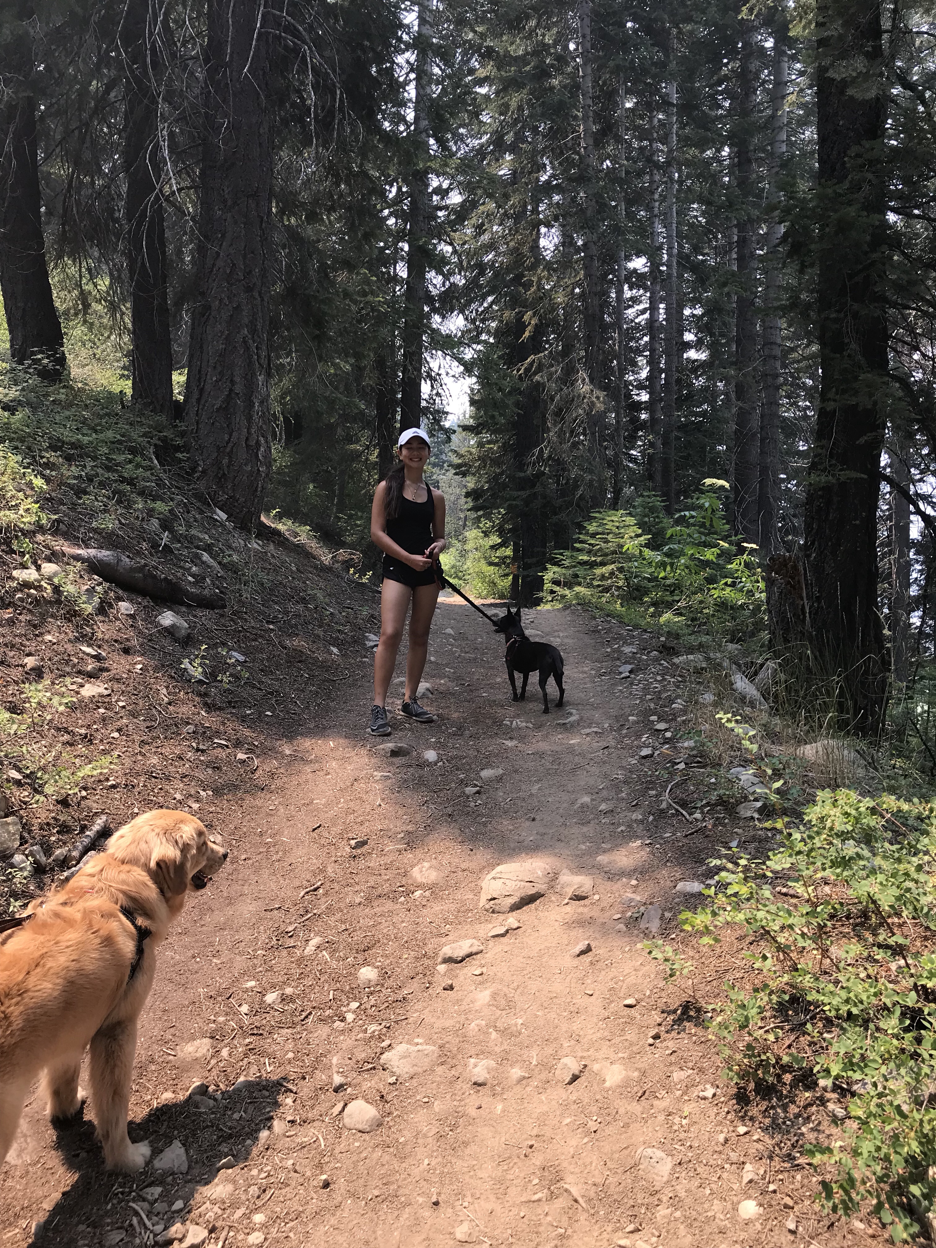 Lake Tahoe Summer Vacations 