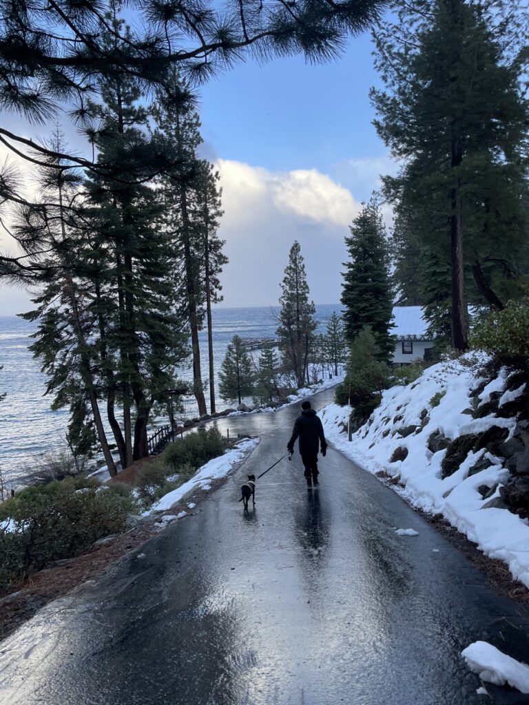 A snowy lakeside path with a person and dog walking away
