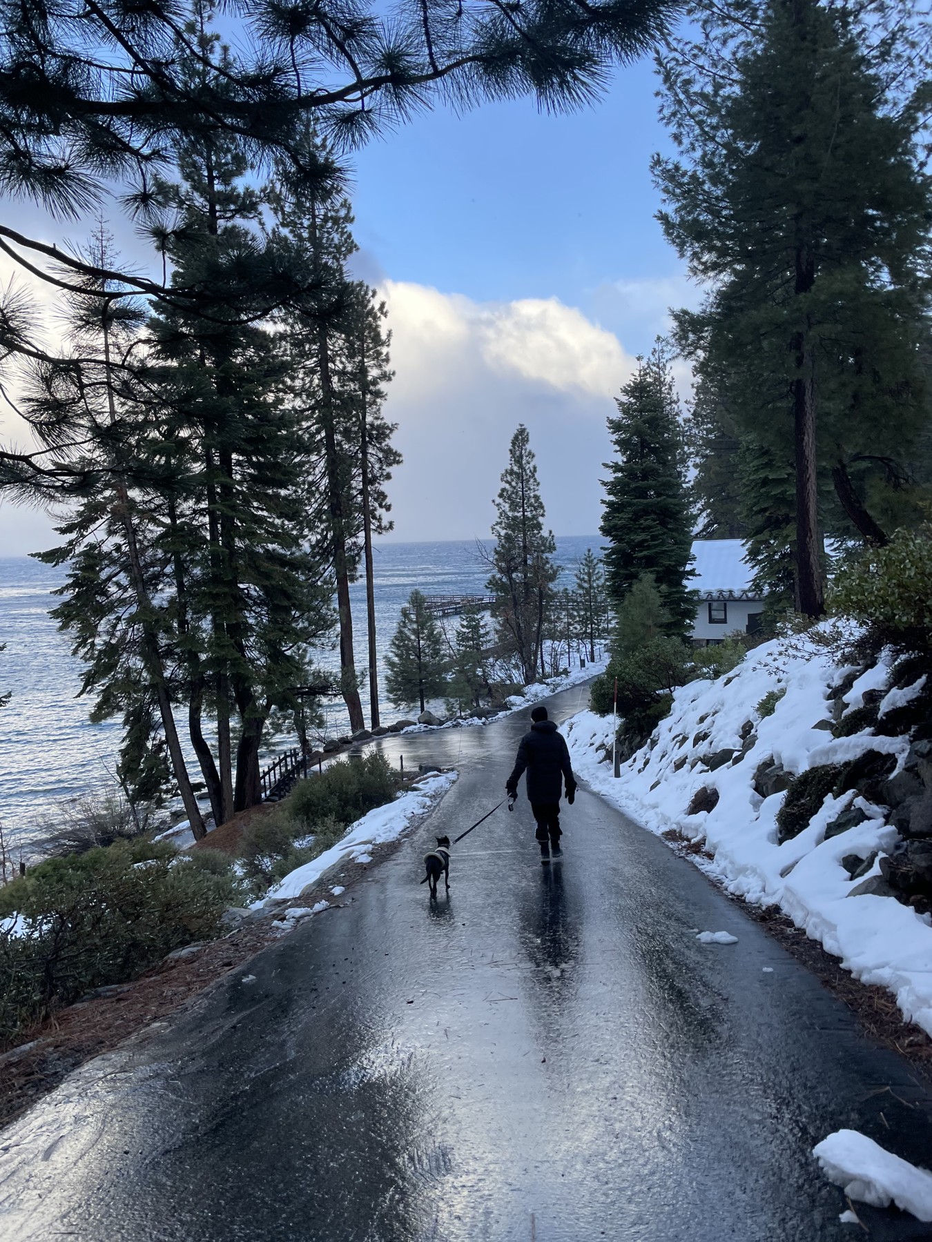 A snowy lakeside path with a person and dog walking away