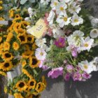 Flowers at the Laguna Beach farmers market