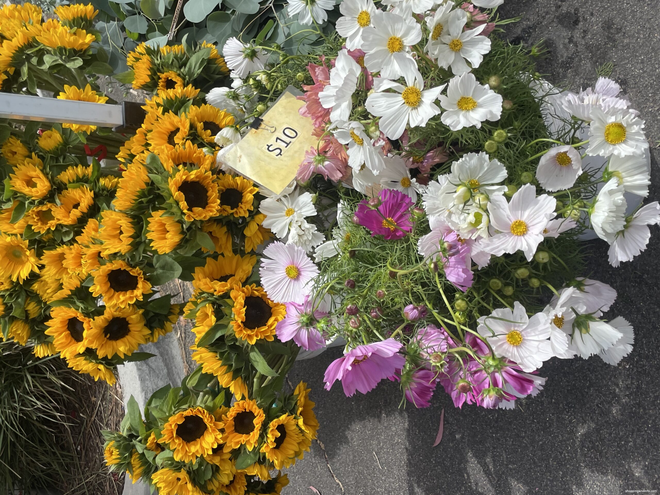 Sunflowers and mixed flower bunches at the Laguna Beach farmers market