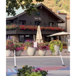 Casa Tua Aspen exterior with flowers and autumn trees