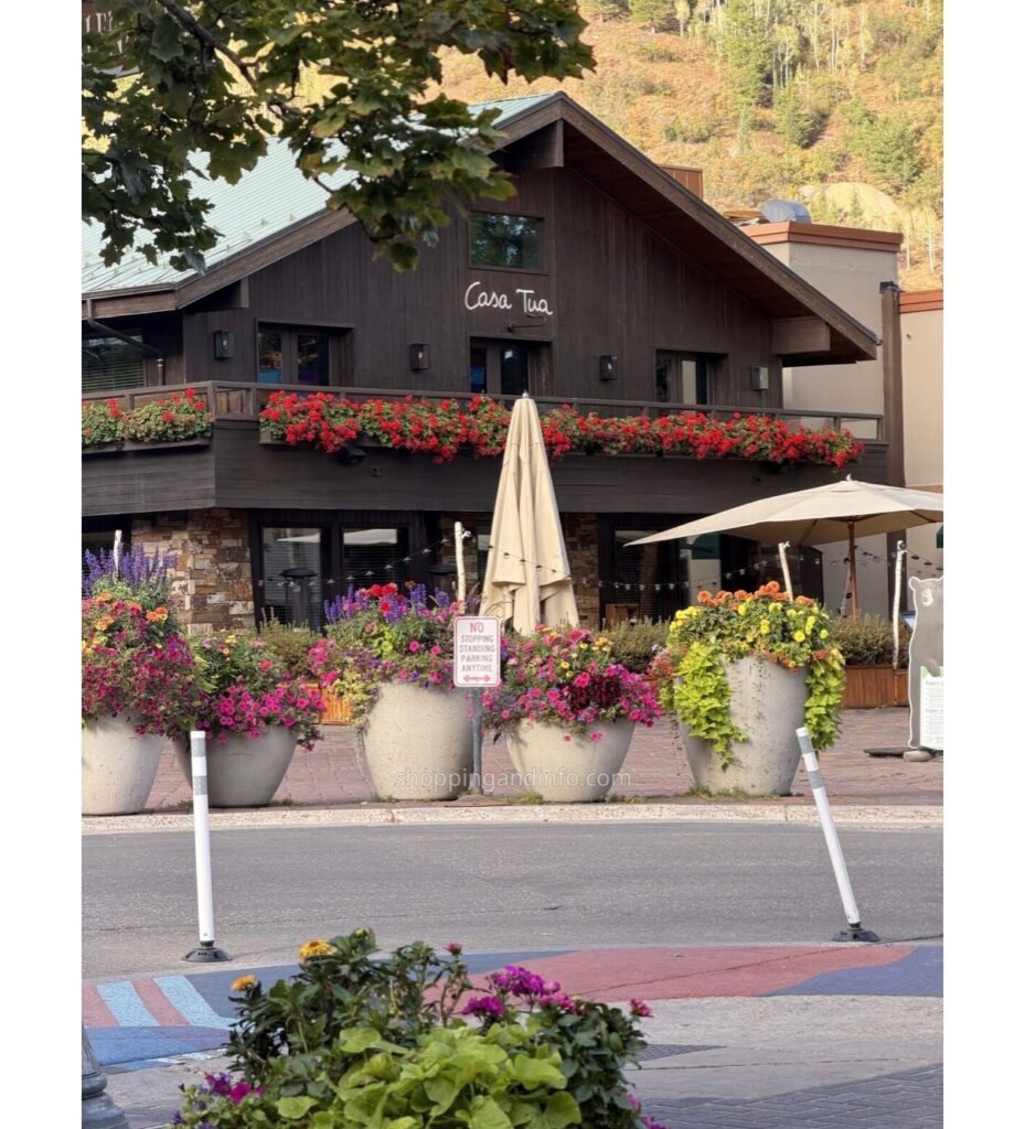 Casa Tua Aspen exterior with flowers and autumn trees