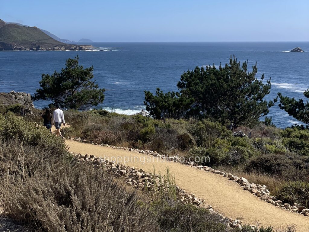 Big Sur coastline and ocean view