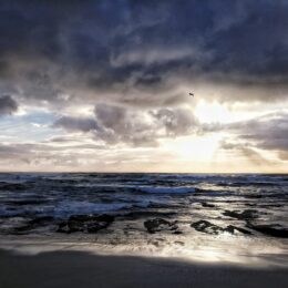 La Jolla coastline at sunset