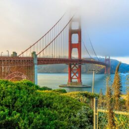 Golden Gate Bridge rising into fog above San Francisco Bay