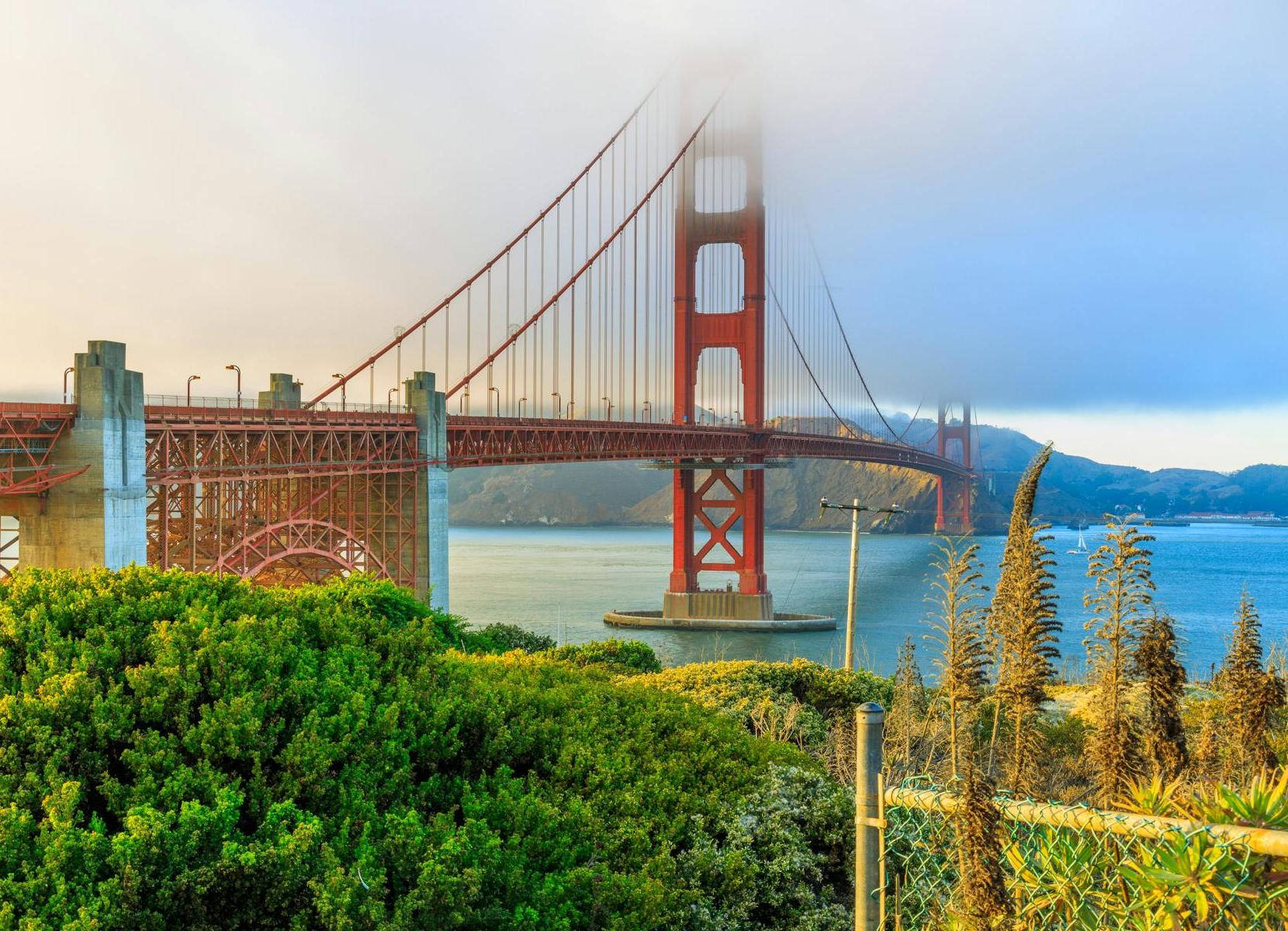 Golden Gate Bridge rising into fog above San Francisco Bay