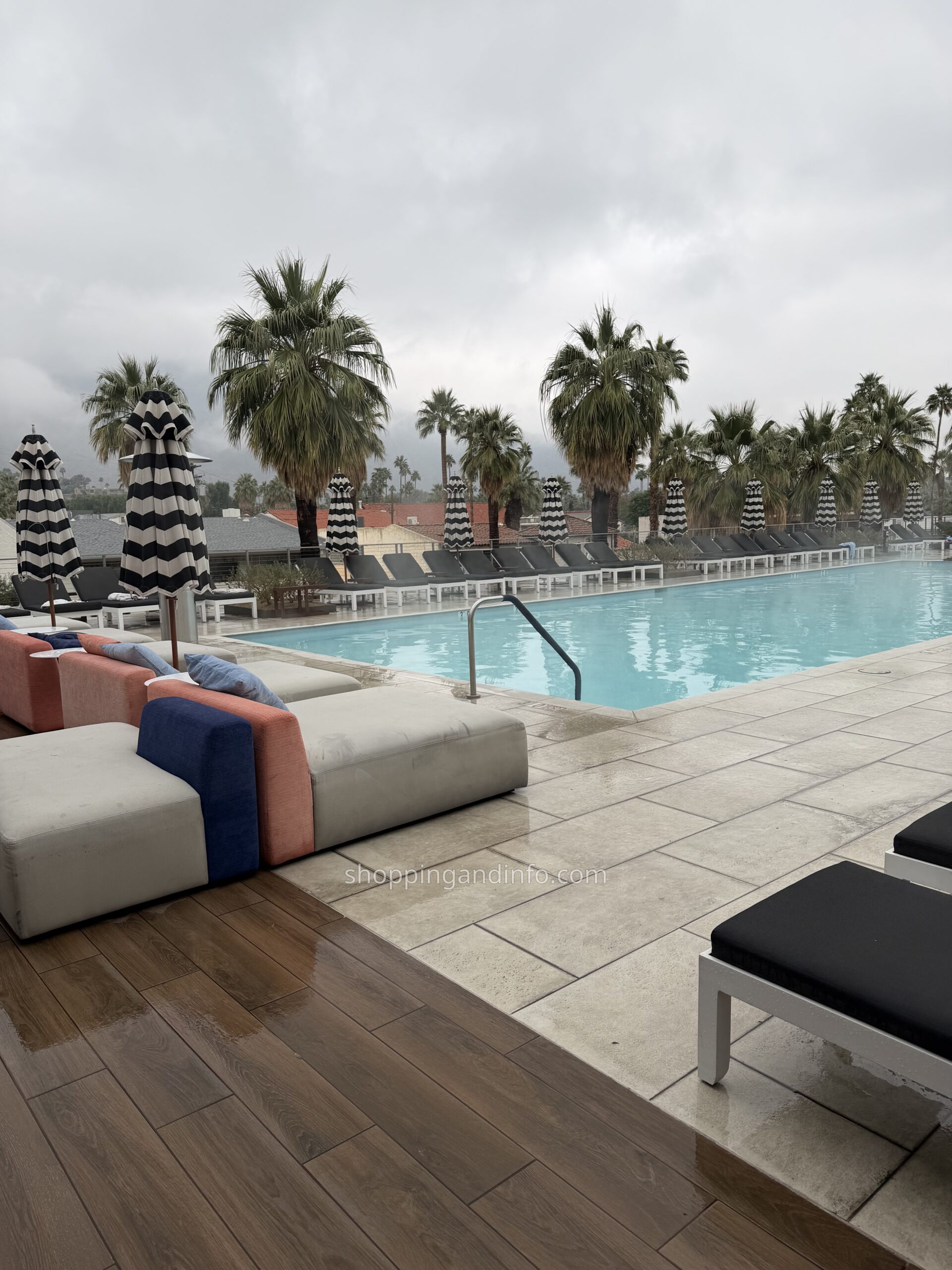 Palm Springs rooftop pool with striped umbrellas and palms