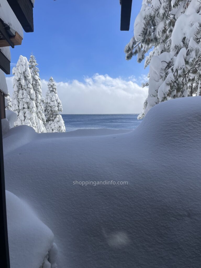 Snow-covered trees and Lake Tahoe on a winter visit