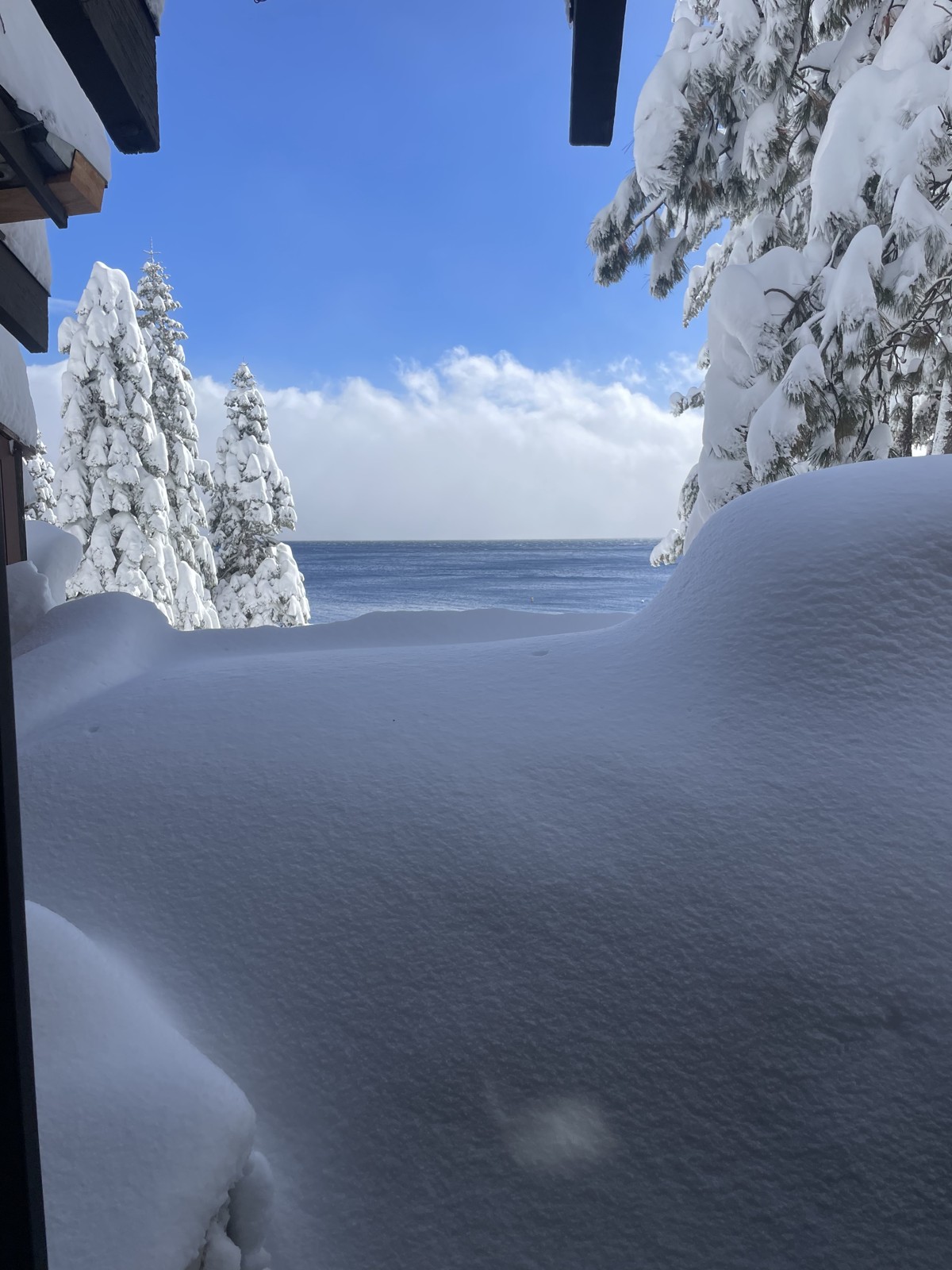 Deep snow beside a lake and snow-covered trees
