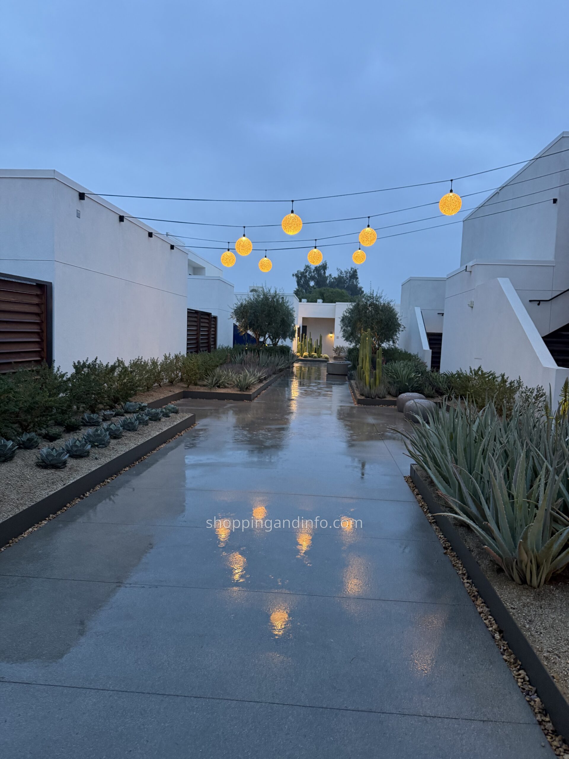 String lights reflected on a wet Palm Springs holiday walkway