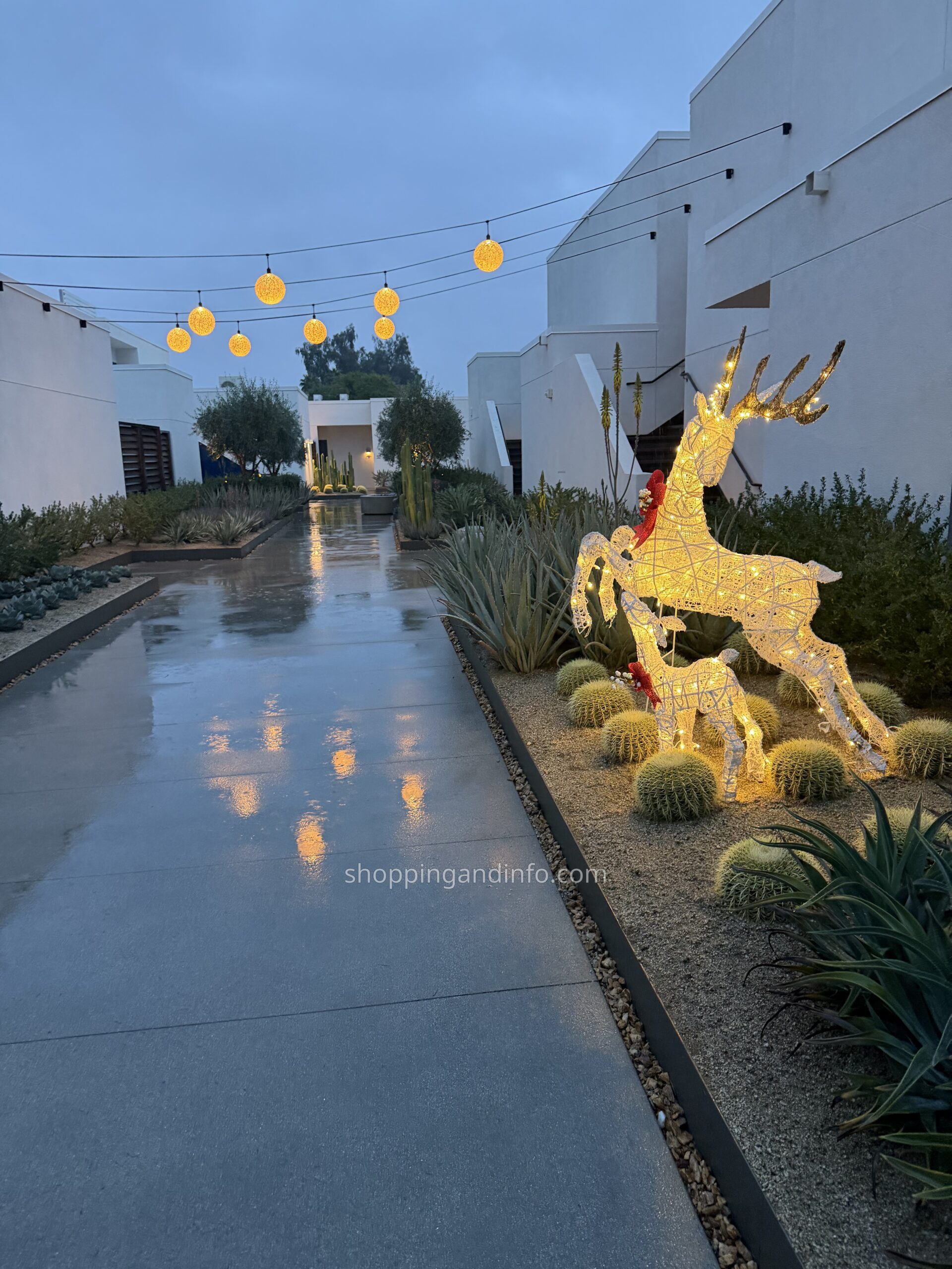 Lit reindeer and string lights along a Palm Springs holiday walkway