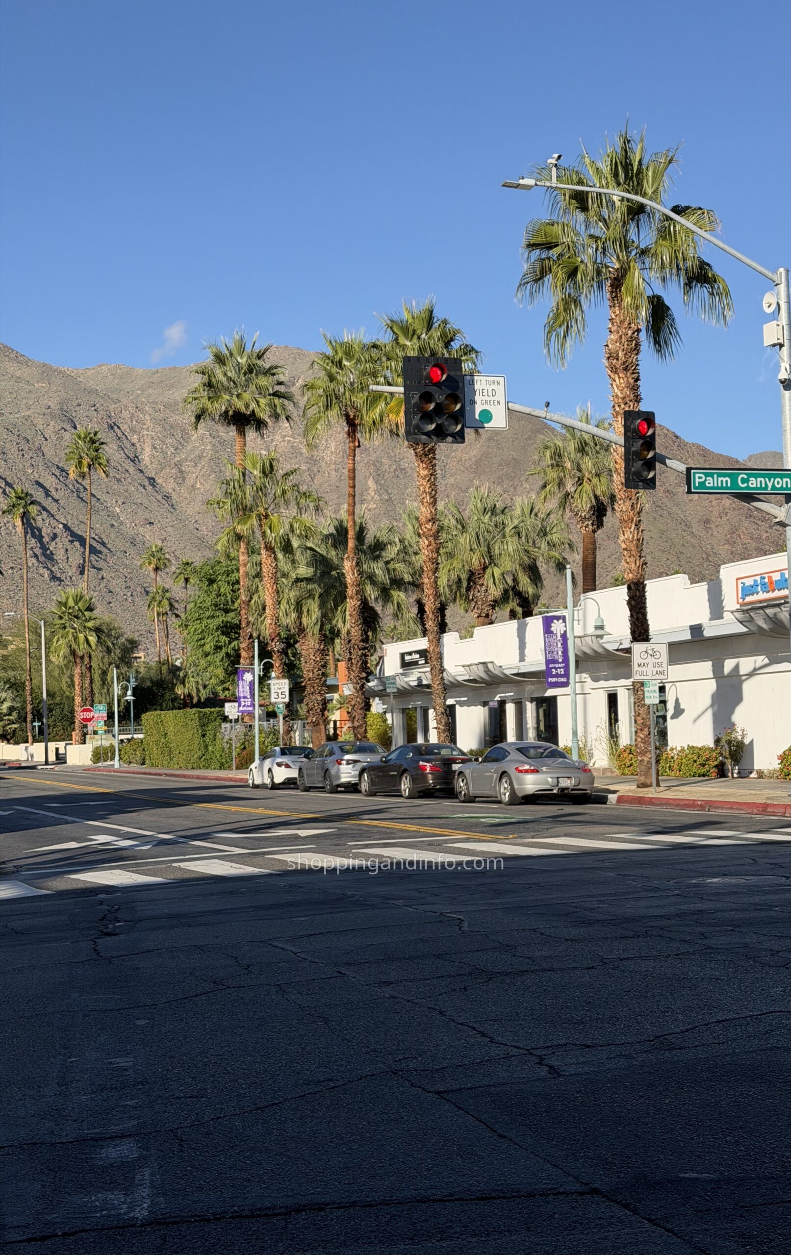 Palm Canyon Drive with palms and mountain views, cropped to leave the pedestrian out