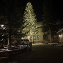 Trapeze coats inspiration: my snowy Vail evening photo with lit trees