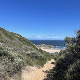 Workout outfits inspiration: blue sky and coastal trail on my South Africa hike