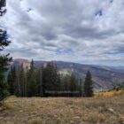Aspen mountain view with golden autumn trees