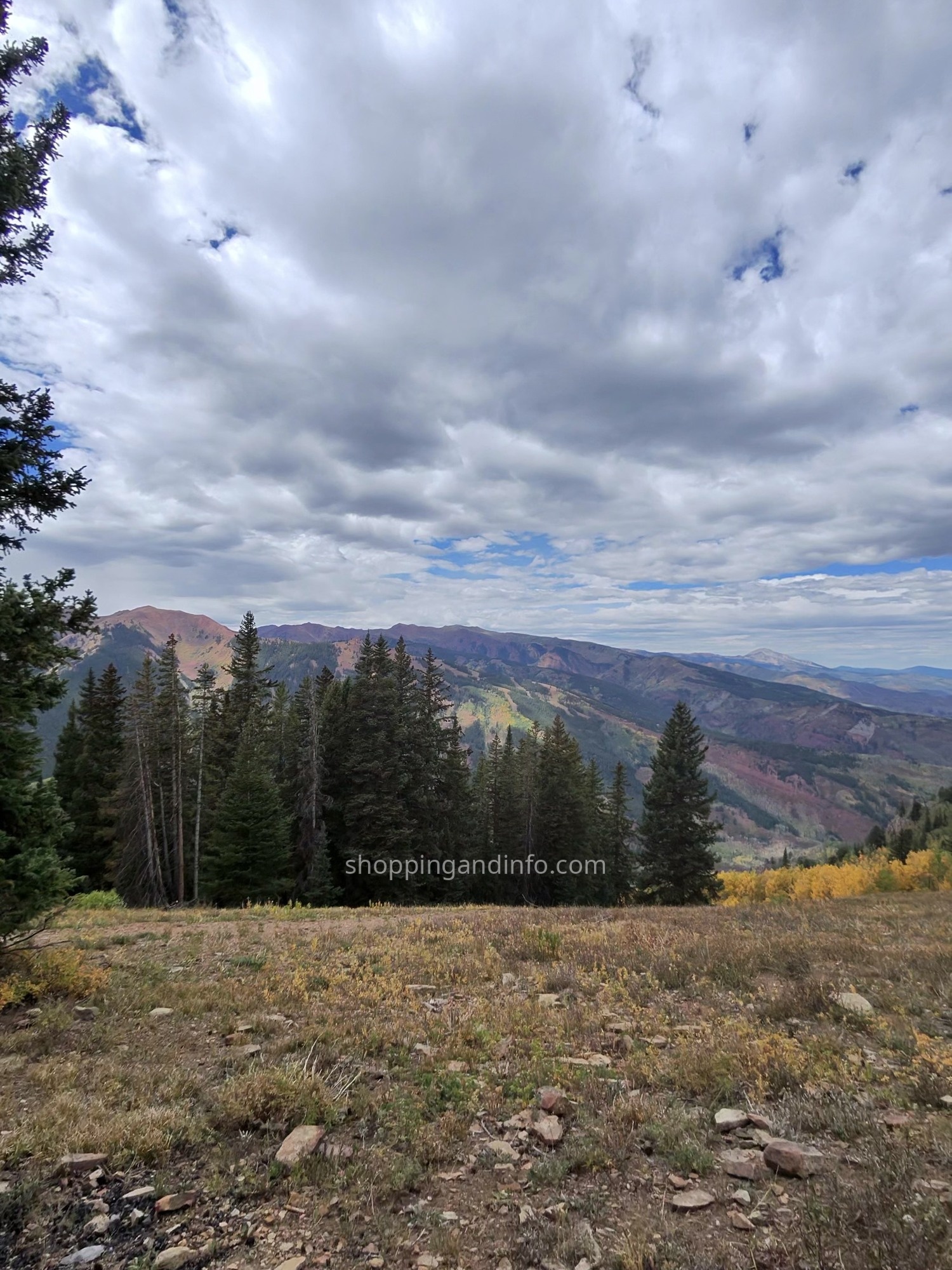 Aspen mountain view with golden autumn trees