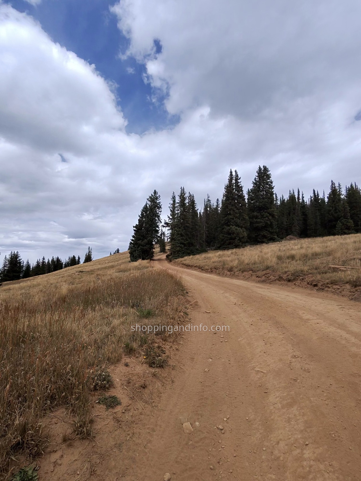 Empty dirt hiking trail through autumn grasses in Aspen