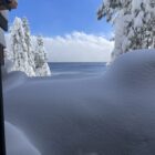 Snow-covered trees and Lake Tahoe on a winter visit