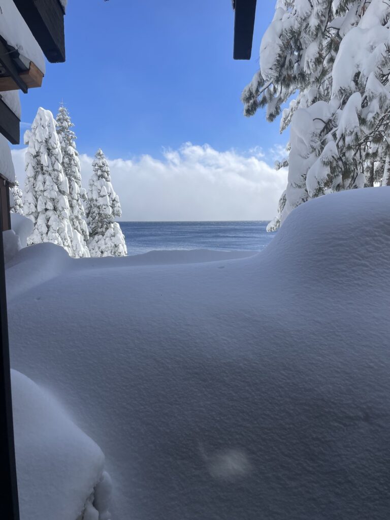 Snow-covered trees and Lake Tahoe on a winter visit