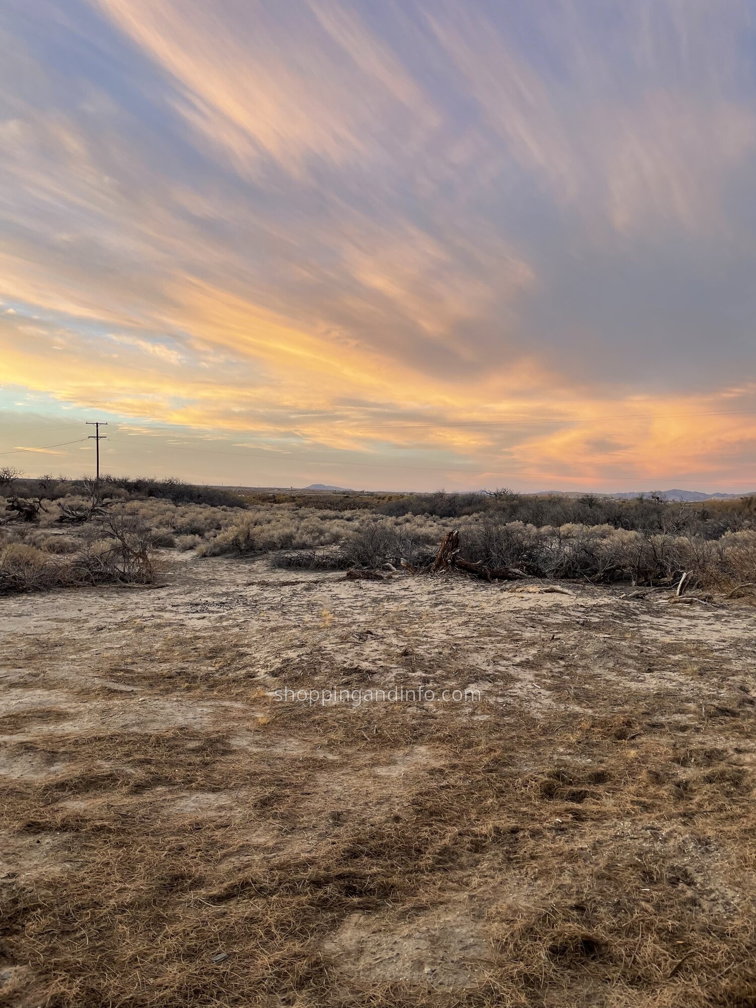 Pink and gold sunset over the open desert field during our Joshua Tree-area trip