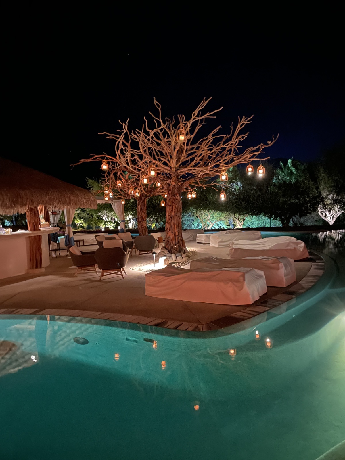 cabo pool lantern tree at night