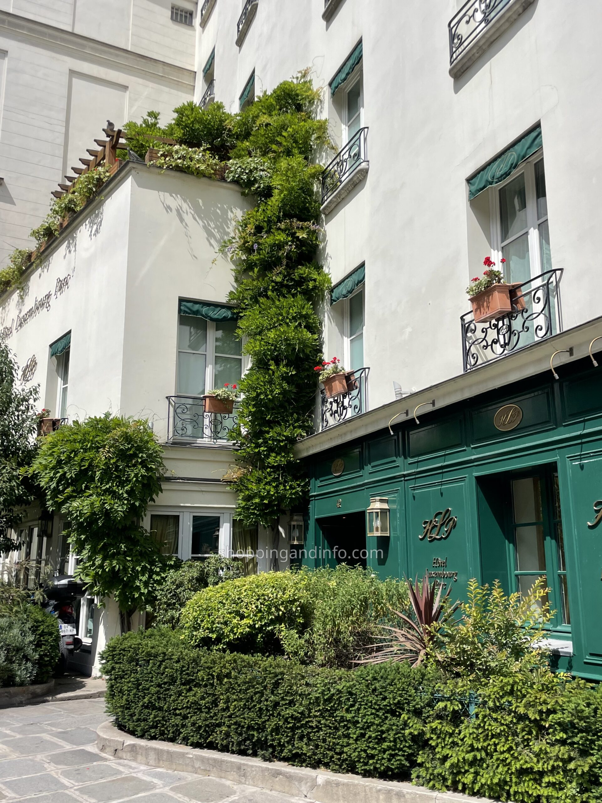 Greenery and green shutters on a Paris street corner
