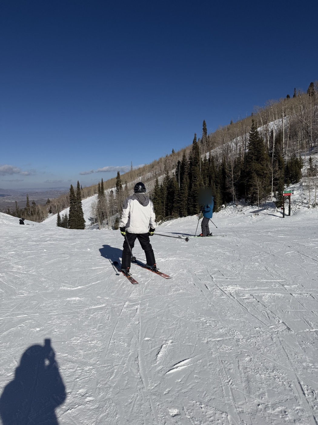 Skiers on a snowy mountain trail