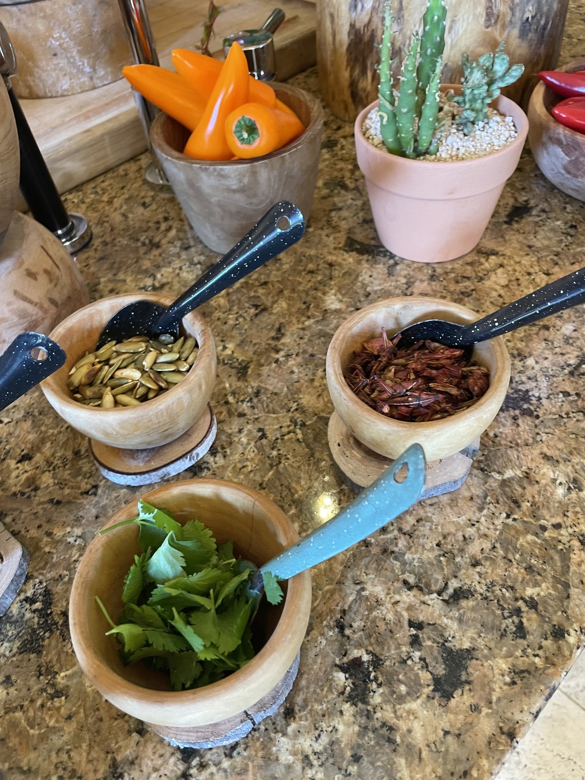 cabo small bowls and herbs