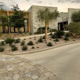 Cabo desert garden and stone path