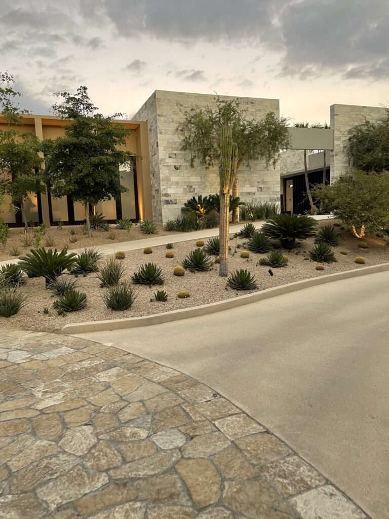 Cabo desert garden and stone path
