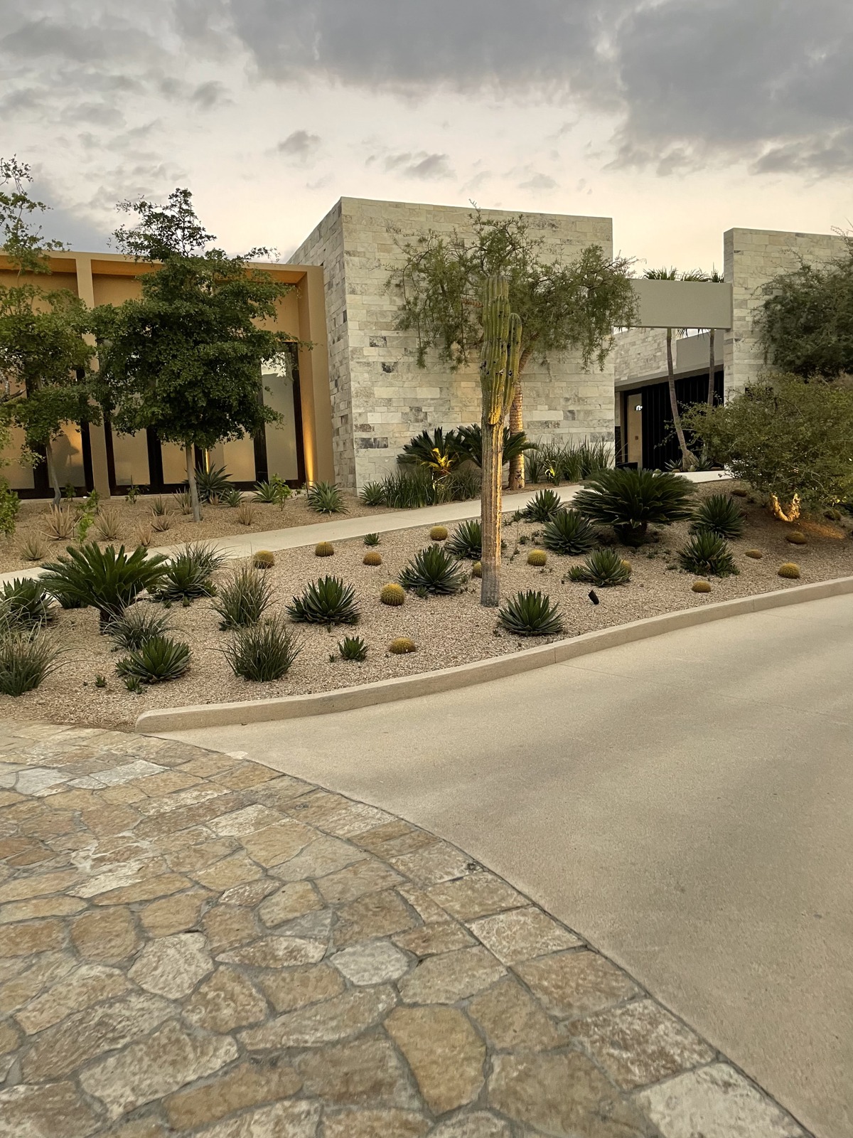 cabo desert garden and stone path