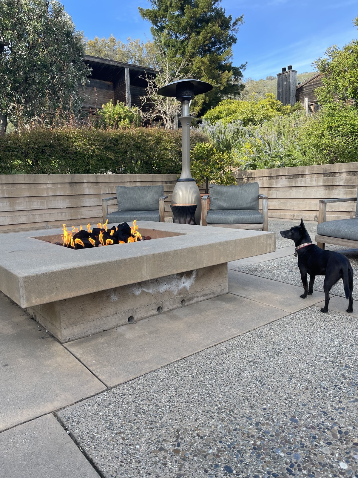 Fire pit and dog during a Big Sur evening
