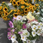 Flowers at the Laguna Beach farmers market