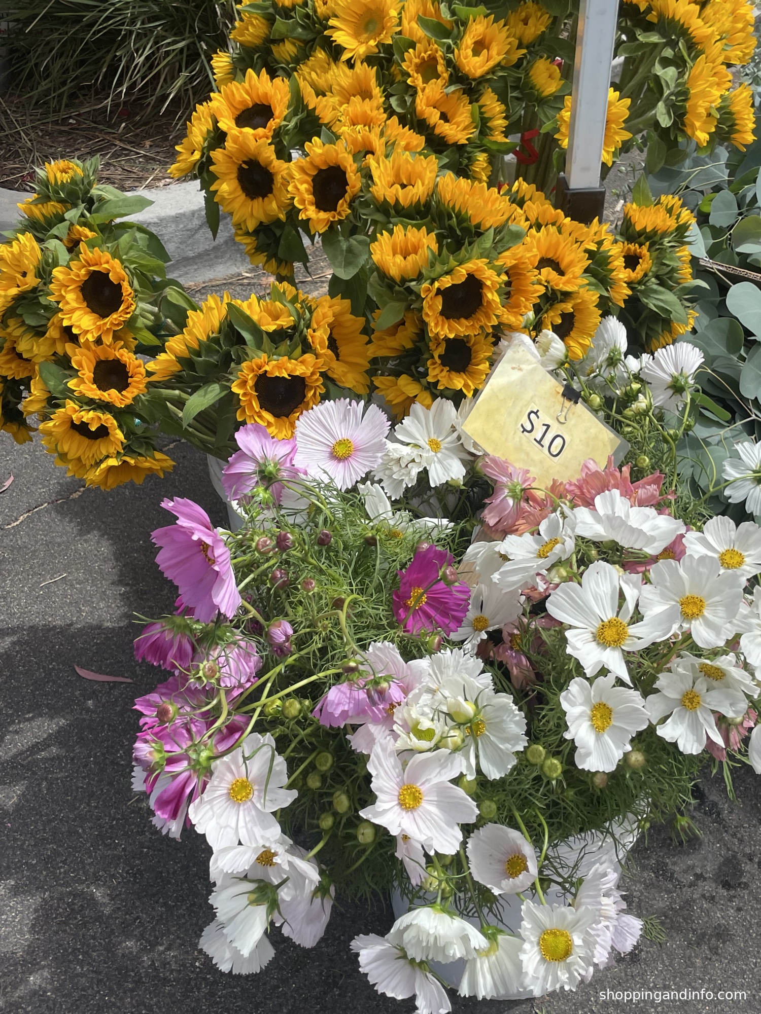 Flowers at the Laguna Beach farmers market