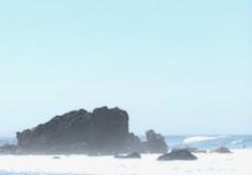 Rocky coast and tidepools