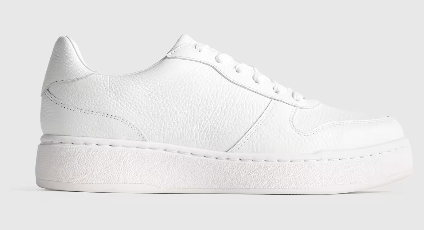Quince white full-grain leather court sneakers
