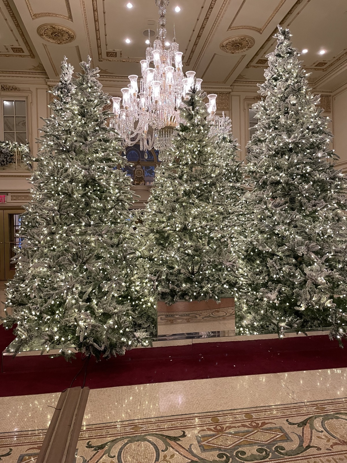 nyc holiday trees and chandelier