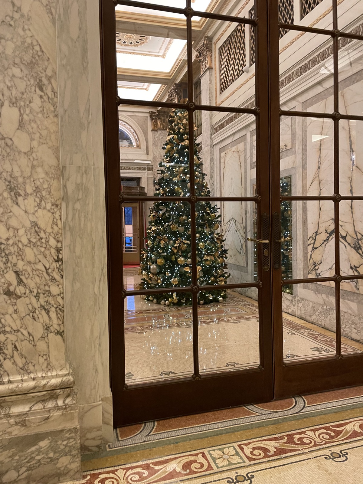 nyc holiday tree through glass
