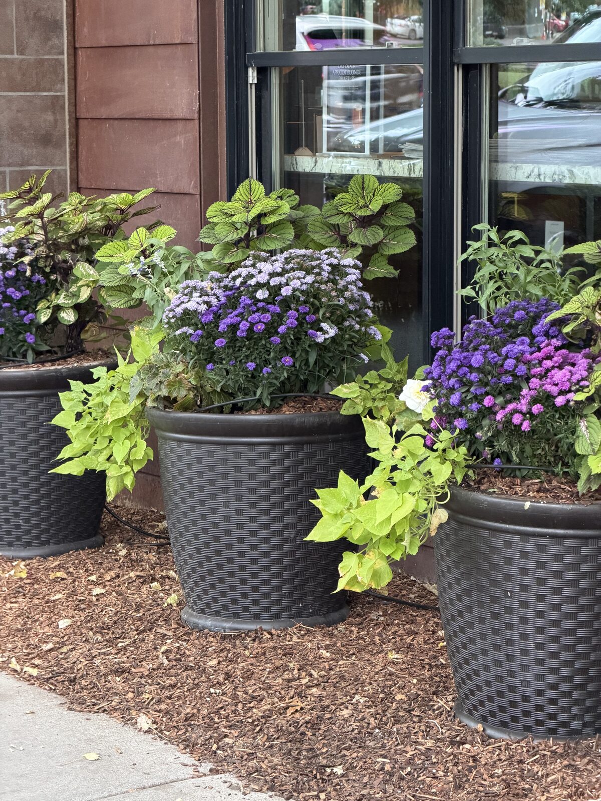 Flower pots in downtown Aspen