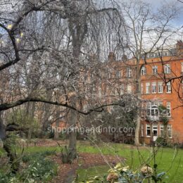 Garden and autumn foliage in London