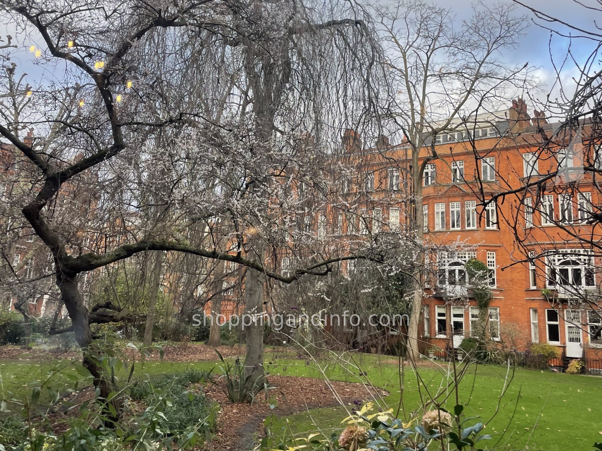 Garden and autumn foliage in London