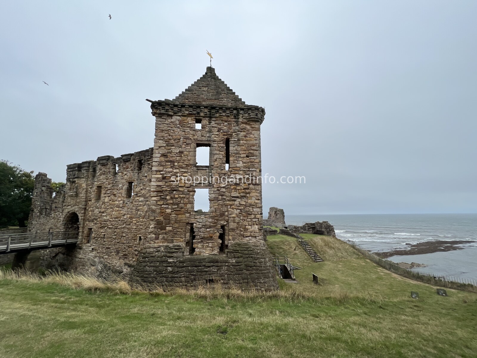 St Andrews castle ruins above the coast - Scottish Designers
