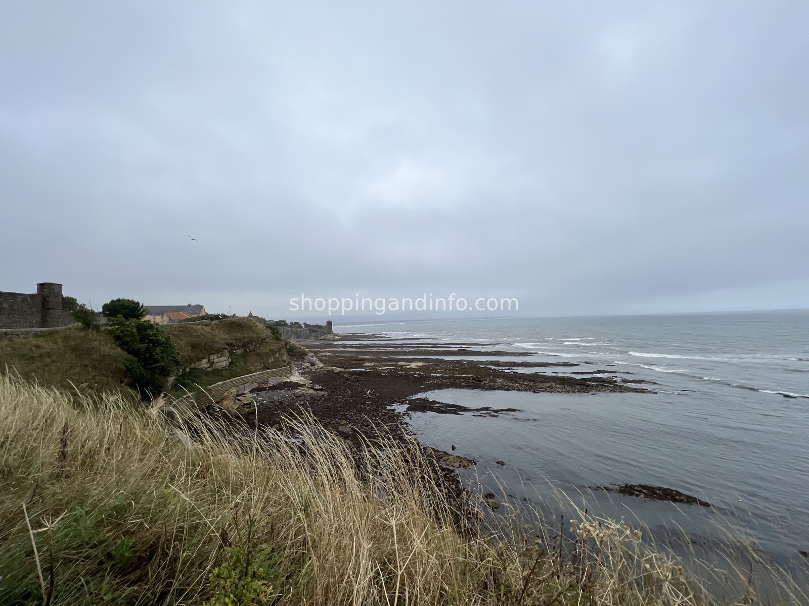 The St Andrews coastline and cliffs - Scottish Designers